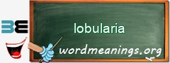 WordMeaning blackboard for lobularia